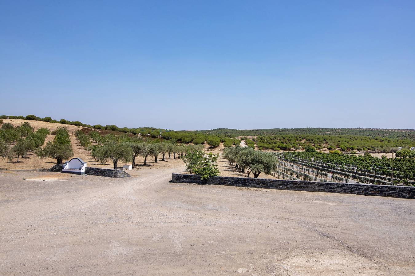 Quarto 'Quarto Azul - Vista Campo-Com Pátio' com Piscina Partilhada, Wi-Fi e Ar Condicionado in Mértola, Distrito de Beja