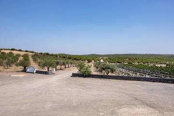 Quarto para 2 Pessoas em Mértola, Baixo Alentejo, Foto 4