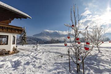 Bauernhaus für 3 Personen in Bischofswiesen, Bayerische Alpen, Bild 4