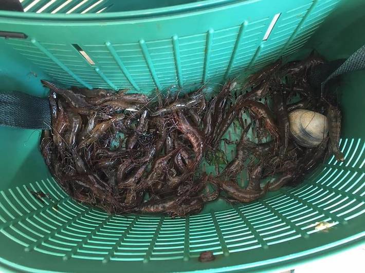 Location de vacances pour 4 personnes, avec jardin dans Pénerf - 4