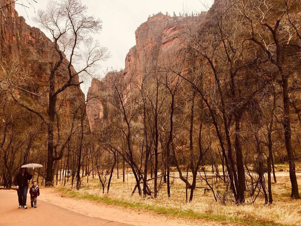 Beautiful family friendly 4 bedroom near Zion Np with all the comforts of home. in La Verkin, Zion Nationalpark