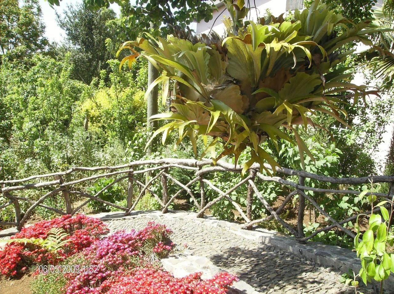 Casa Rosa in Camacha, Madeira
