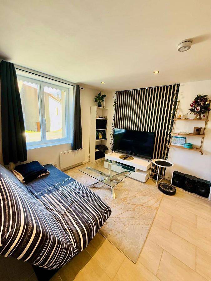 Gîte pour 4 personnes, avec terrasse et vue, animaux acceptés dans Saint-Salvy-de-la-Balme - 3