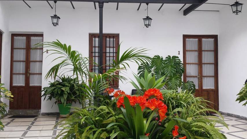 Alojamiento y desayuno para 2 personas, con jardín en Almodóvar del Río - 4