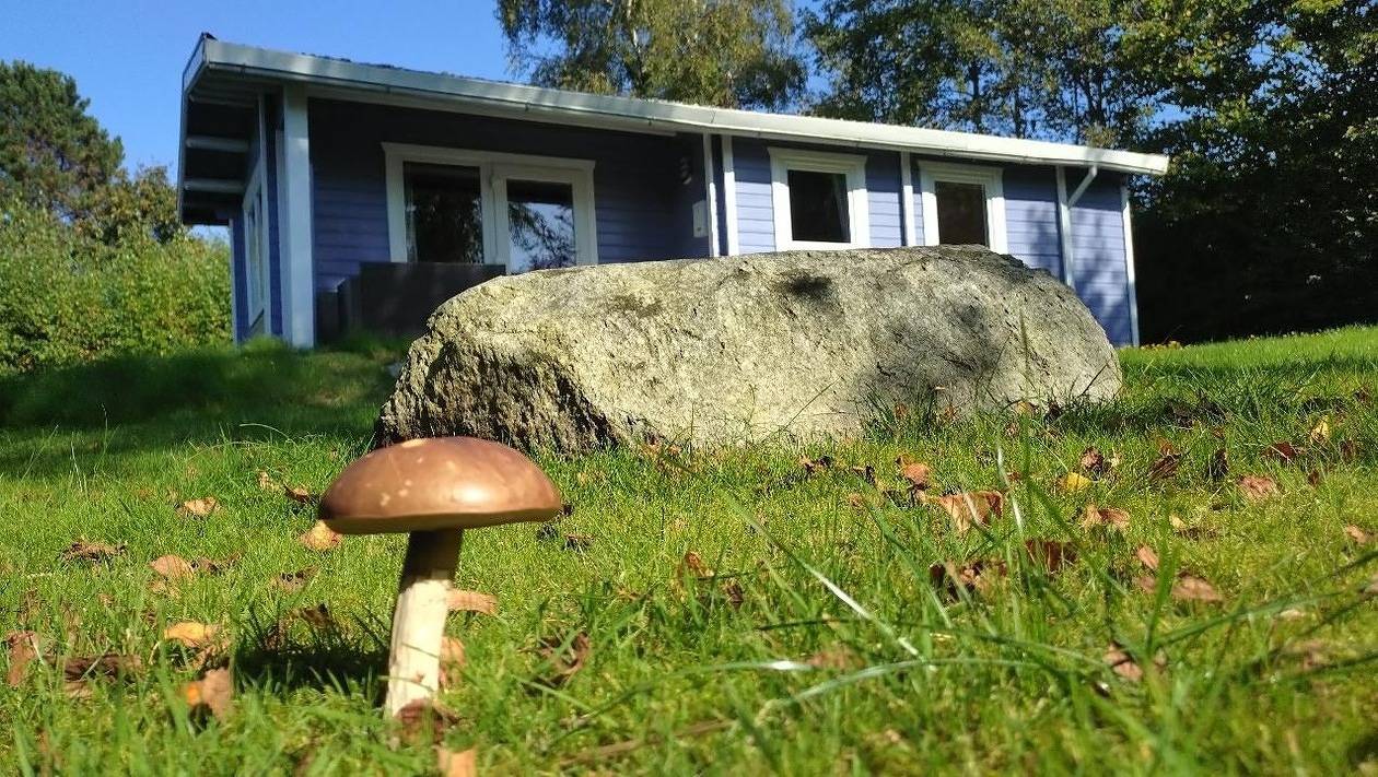 Dieseesucht® - Lodge am Fjord in Westerholz, Schleswig-Flensburg