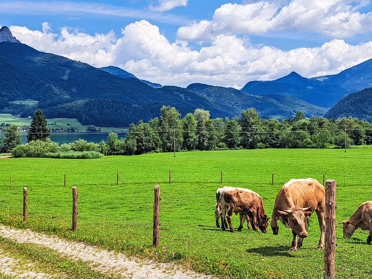Ganze Wohnung, Wohnung Garten 2 Seeblick in Salzkammergut-Berge, Strobl