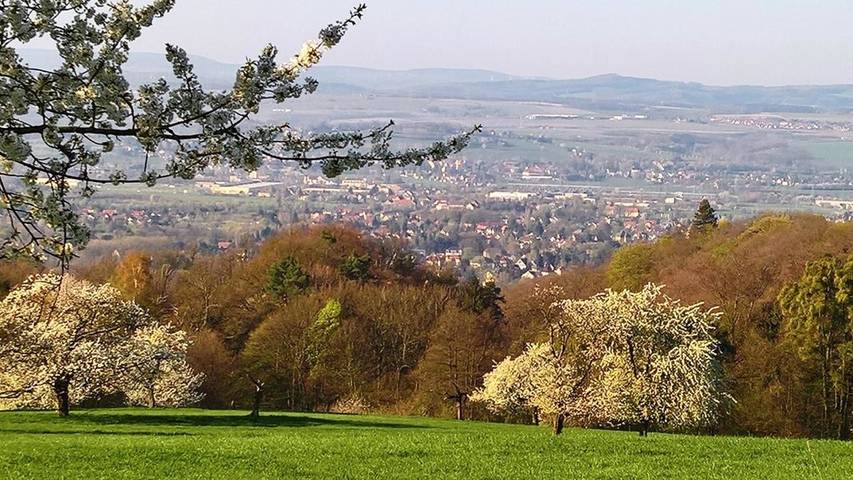 Ferienwohnung für 2 Personen, mit Terrasse in Schönfeld-Weißig - 2