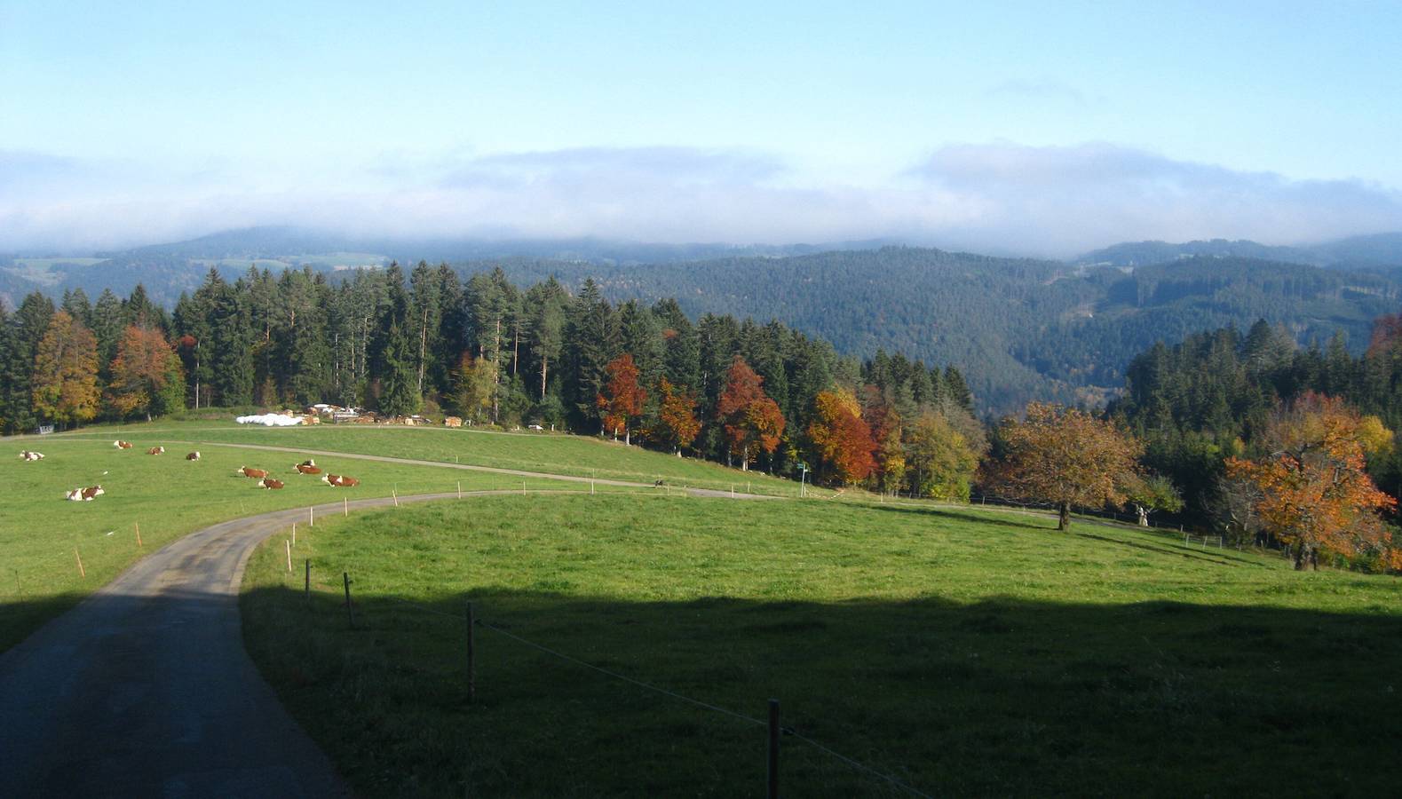 Sigmundenhof - Ferienwohnung Heubühne, 50 qm, 1 Schlafzimmer, 1 Wohnschlafzimmer, max. 4 Personen in Schonach im Schwarzwald, Südschwarzwald