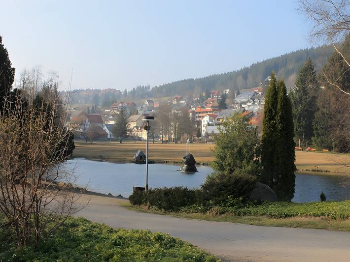 Ferienwohnung für 2 Personen, mit Garten in Schonach (Dorf) - 4