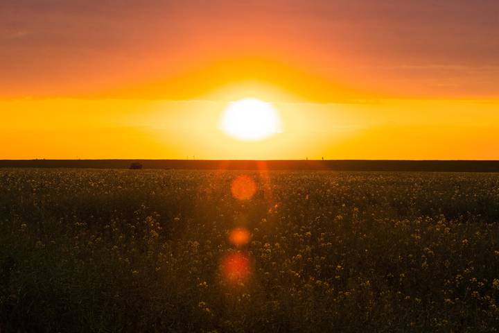 Bauernhof für 2 Personen, mit Garten und Ausblick, kinderfreundlich auf Eiderstedt - 2