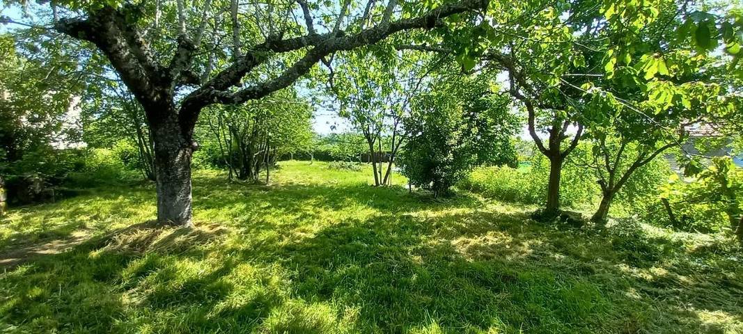 Gîte pour 6 personnes, avec jardin et vue à Sainte-Eulalie (Cantal) - 4