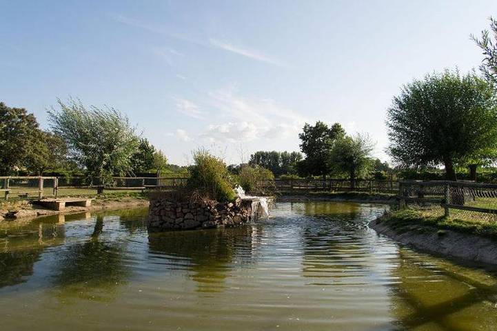 Location de vacances pour 16 personnes, avec piscine ainsi que jardin et vue, animaux acceptés à Ciudad Rodrigo - 3