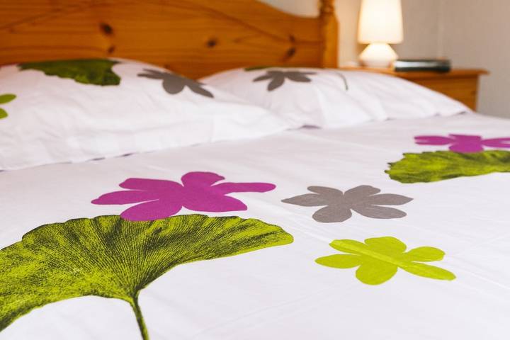 Gîte pour 4 personnes, avec jardin et terrasse à Saint-Quay-Perros - 3