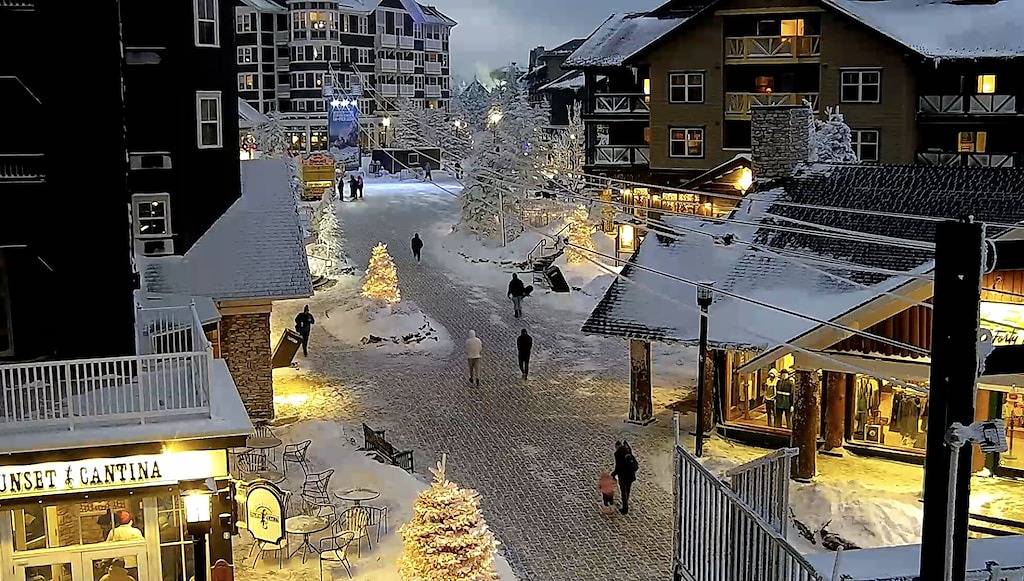 Ganze Wohnung, Remodeled! Mountain Lodge 325 Ski In/Out Condo, Steps to Ballhooter & Village. in Snowshoe, Greenbrier River