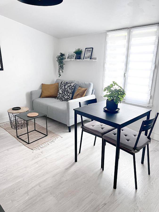 Appartement entier, Le gargantua, appartement à 500m du château in Chinon, Vallée de la Loire