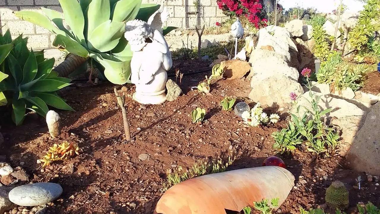 Ferienhaus für 2 Personen (54 m²) in La Sabinita in Arico Viejo, Arico
