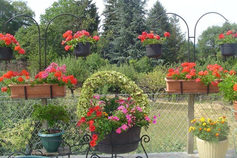Gîte\"Le Jardin\" : venez découvrir Lourdes et les Pyrénées in Aspin-en-Lavedan, Hautes-Pyrénées