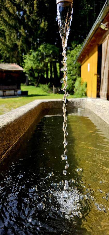 Ferienhaus für 3 Personen, mit Terrasse und Garten sowie Sauna, kinderfreundlich in Arnbruck - 2