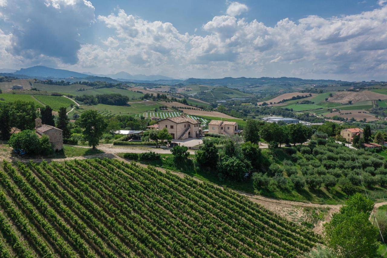 Agriturismo San Nicolino in Offida, Ascoli Piceno Provinz