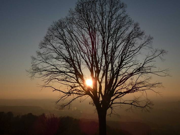 Ferienwohnung für 8 Personen, mit Balkon und Garten in Ebermannstadt - 4