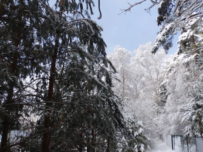 Ferienhaus für 6 Personen, mit Seeblick und Sauna sowie Garten und Terrasse, kinderfreundlich in Lychen - 4