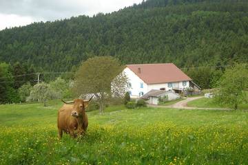 Gîte pour 6 personnes, avec balcon et jardin, animaux acceptés à Girmont-Val-d'Ajol
