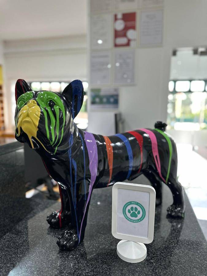 Hôtel pour 4 personnes, avec vue et balcon à Maia - 3