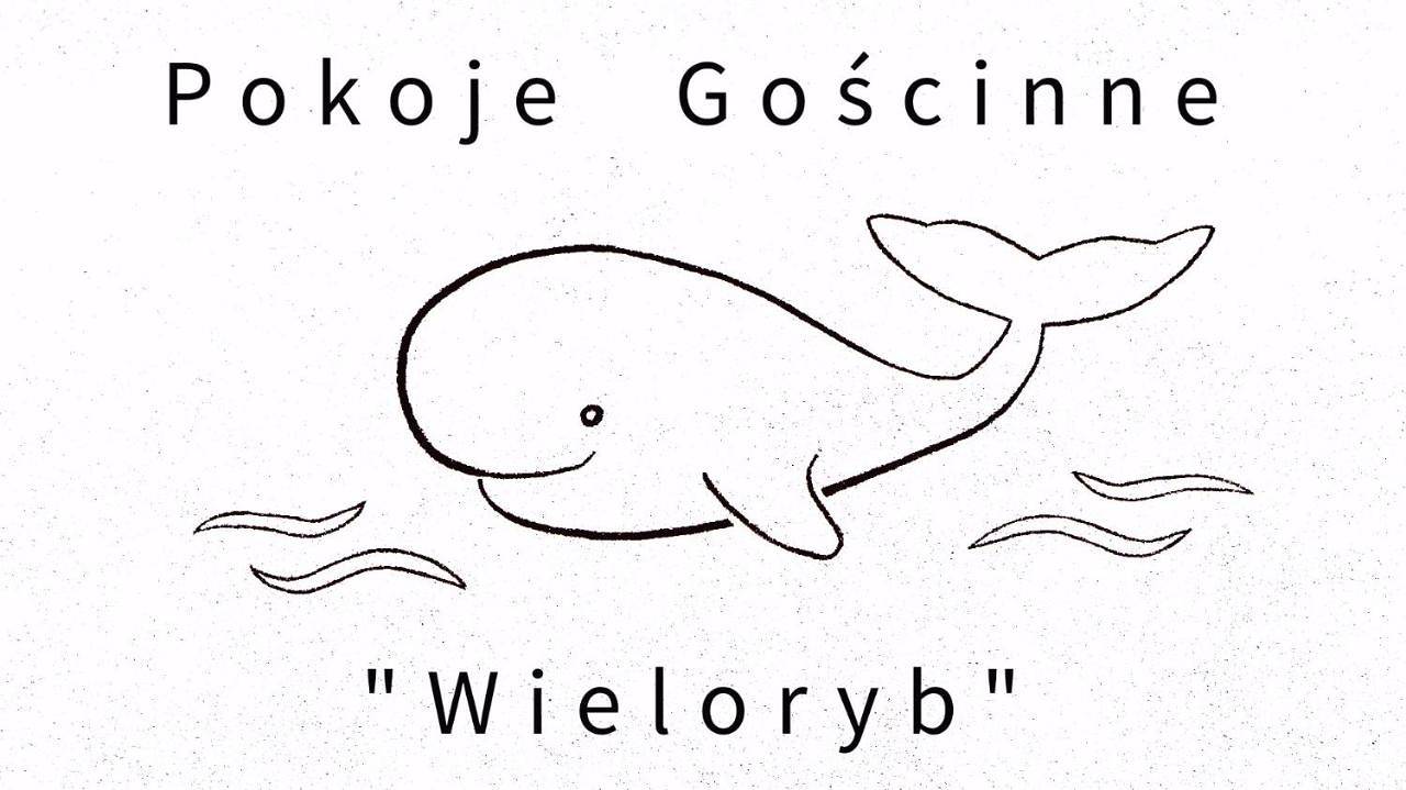 Pokoje Gościnne Wieloryb in Władysławowo, Zatoka Gdańska