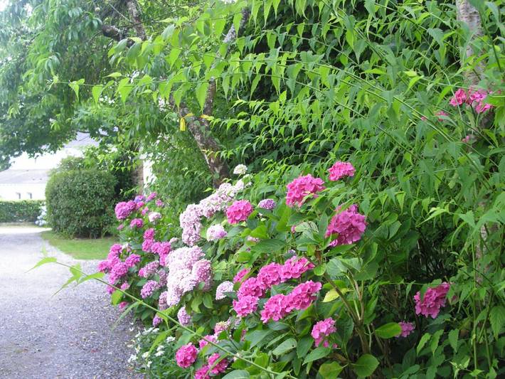 Gîte pour 4 personnes, avec jardin, animaux acceptés à Landaul - 4