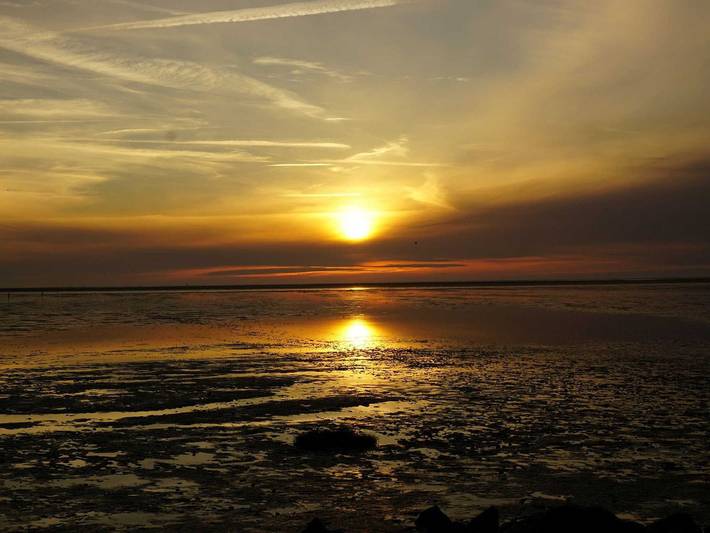 Ferienhaus für 7 Personen, mit Garten, mit Haustier in Friedrichskoog - 4