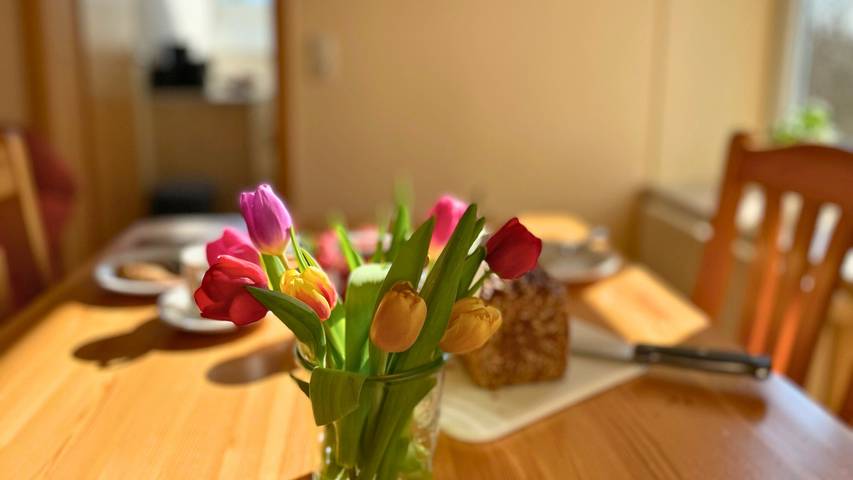 Ferienwohnung für 6 Personen, mit Terrasse und Garten in Dänschendorf - 2