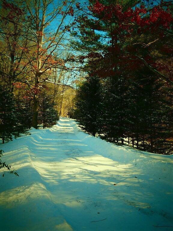 Four abgelegenen Acker - Authentische Hand behauenen Log Cabin - South Fork New River in Blue Ridge Parkway, Ashe County