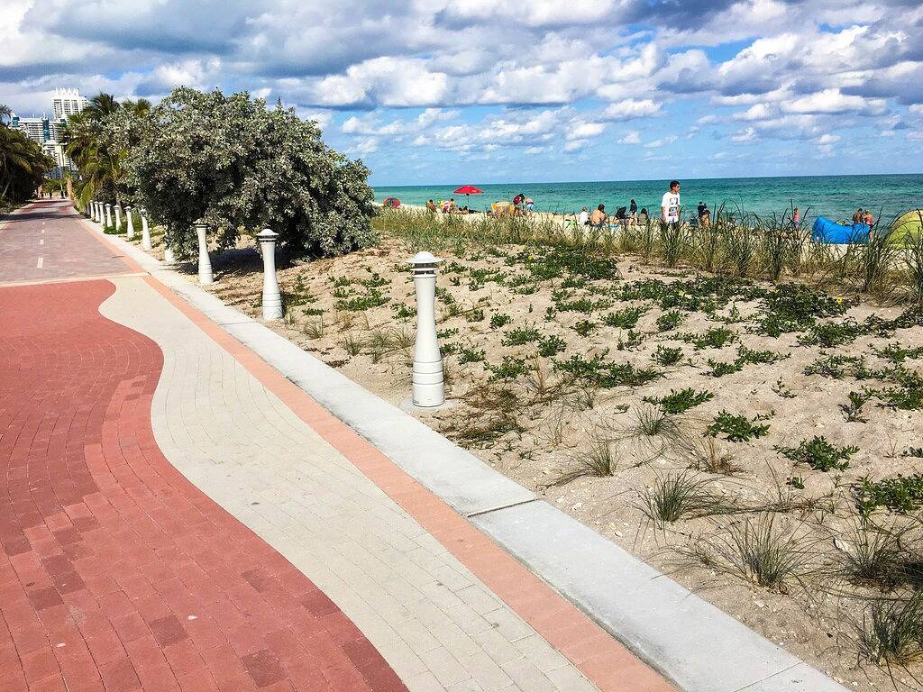 Ganze Wohnung, Sumptuous Beachfront Miami Beach Suite (2070 sq. Ft. / 192 m2) in Atlantic Heights, Miami Beach