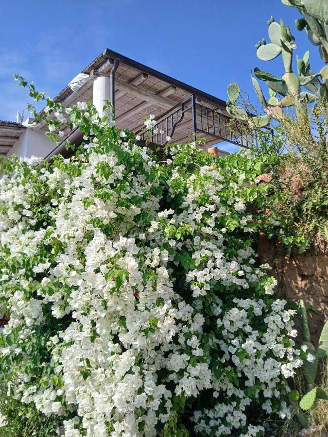 One-Bedroom Villa in Lipari
