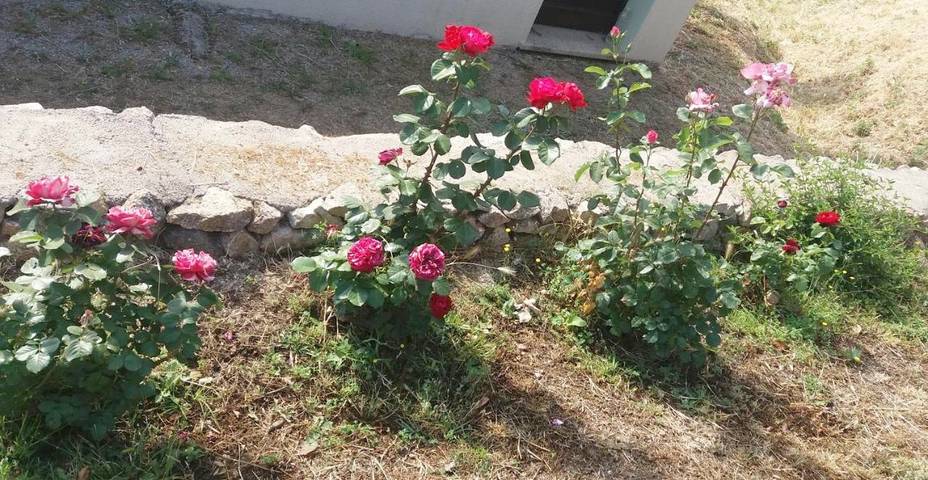 Location de vacances pour 3 personnes, avec vue ainsi que balcon et jardin à Sant'Antonio di Gallura - 2