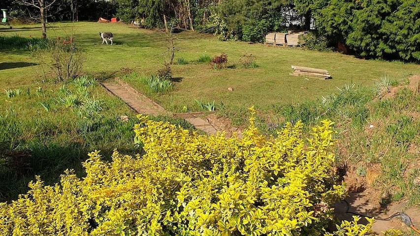 Ferienwohnung für 2 Personen, mit Balkon in Losheim am See - 4