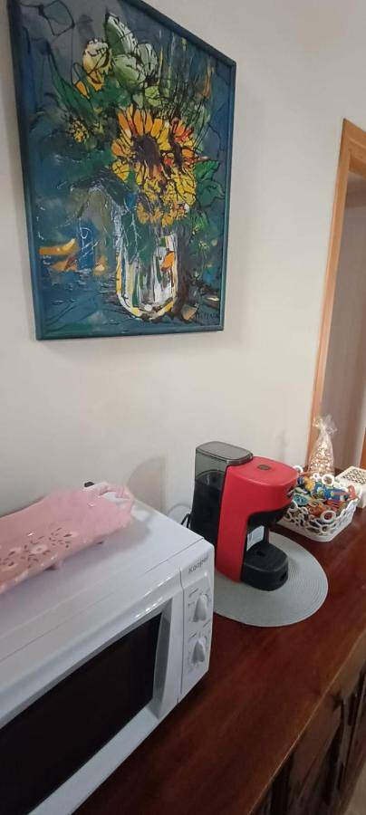 Chambre d’hôte pour 4 personnes, animaux acceptés à Orvieto - 3