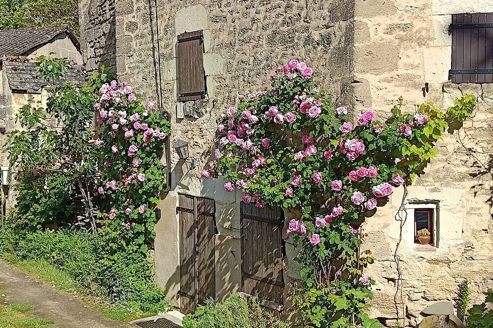 Gîte les Trois Grandes Portes in Doué-la-Fontaine, Vallée de la Loire