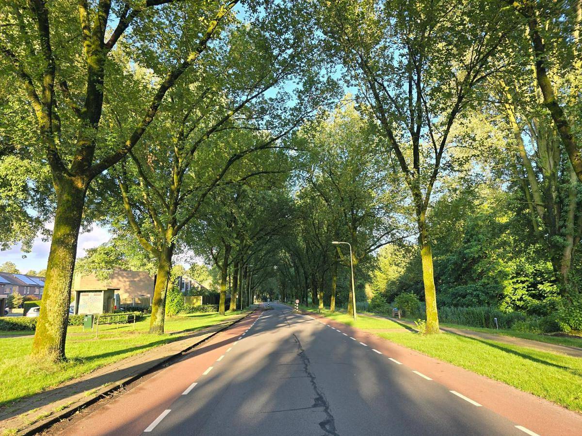 Zm Tilburg in Tilburg, Noord-Brabant