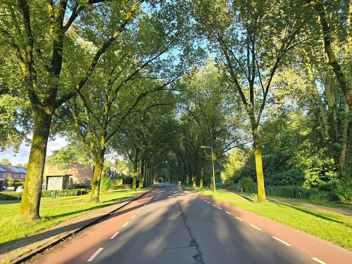 Maison d’hôte pour 3 personnes, avec terrasse et vue, animaux acceptés à Tilbourg - 4