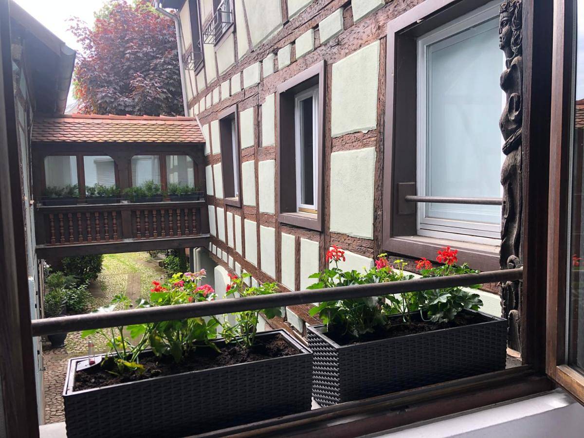 Entire apartment, One-Bedroom Apartment in Strasbourg, Strasbourg region