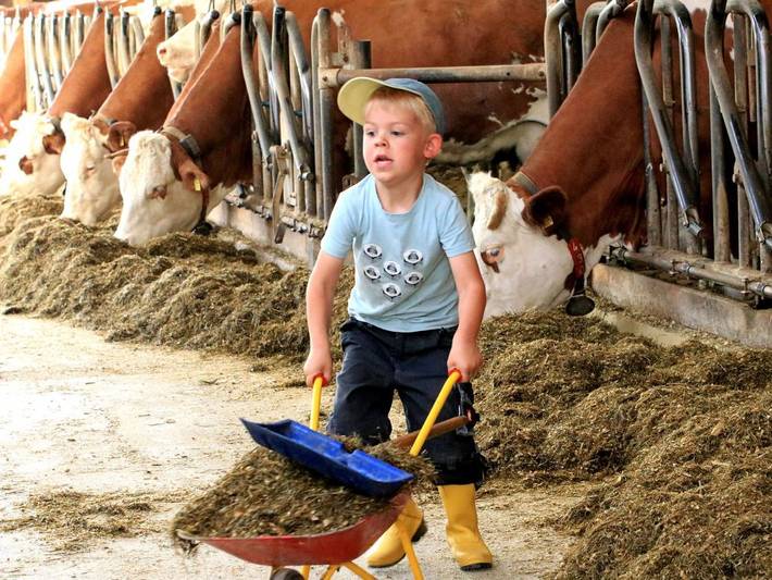 Bauernhof für 3 Personen, mit Sauna und Garten