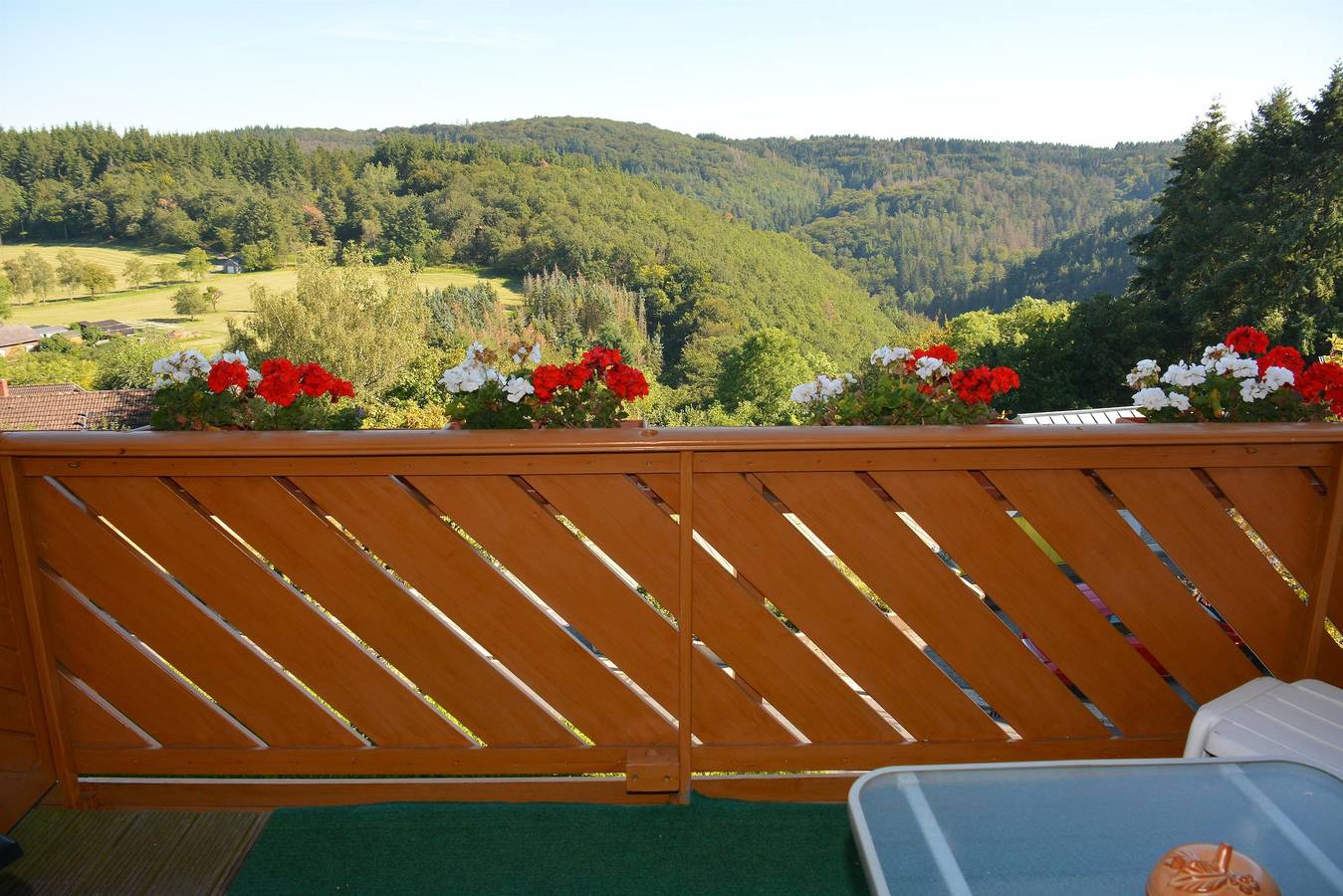 Ganze Ferienwohnung, 4-Bettwohnung Nürburg in Osteifel