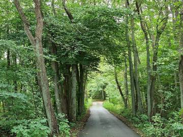 Ferieudlejning til 6 Personer i Frederikssund, Roskilde Fjord, Billede 4