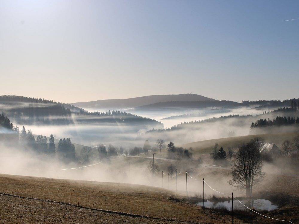Hofgut Schwörerhof - Mühle am Waldrand in Titisee-Neustadt, Southern Black Forest