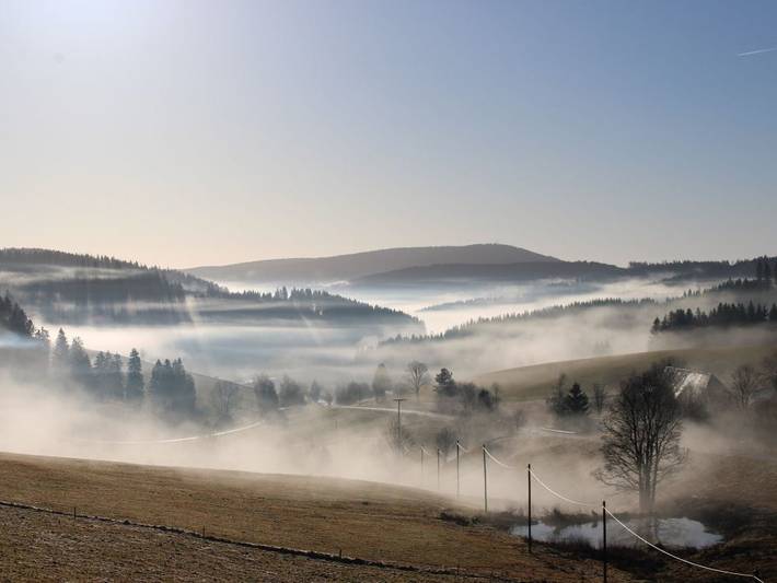 Hofgut Schwörerhof - Ferienhütte Mühle in Jostal (Titisee-Neustadt), Titisee-Neustadt