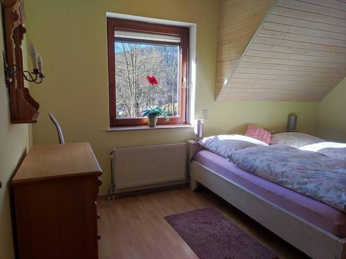 Ferienwohnung für 4 Personen, mit Balkon und Terrasse sowie Garten und Pool in Eibenstock - 4