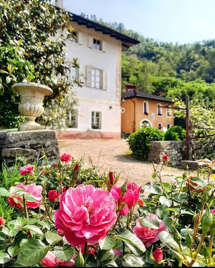 Alloggio in famiglia per 3 persone, con terrazza e giardino nonché sauna e panorama - 1