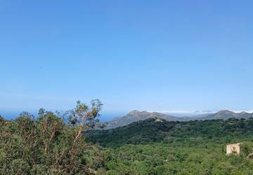 Location De Vacances pour 5 Personnes dans Ville-di-Paraso, Région de Calvi, Photo 1