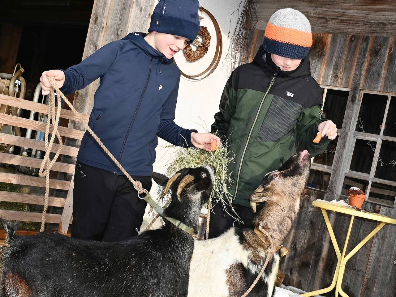 Bauernhof für 2 Personen in Krumbach (Vorarlberg), Bodensee (Österreich)